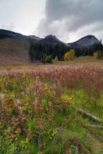 emerald lake area.jpg